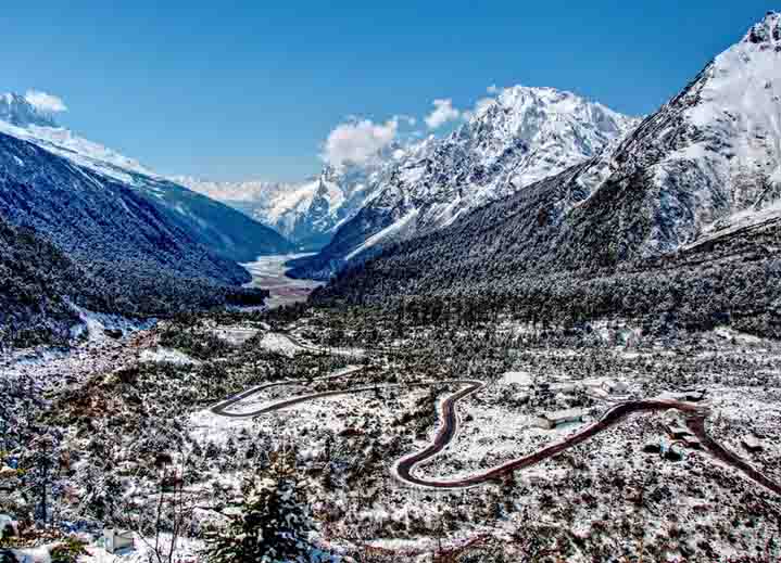 Yumthang Valley North Sikkim with seasonal flowers in bloom