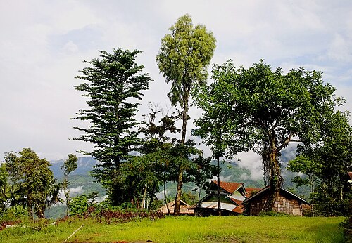 Longwa Village Mon Nagaland