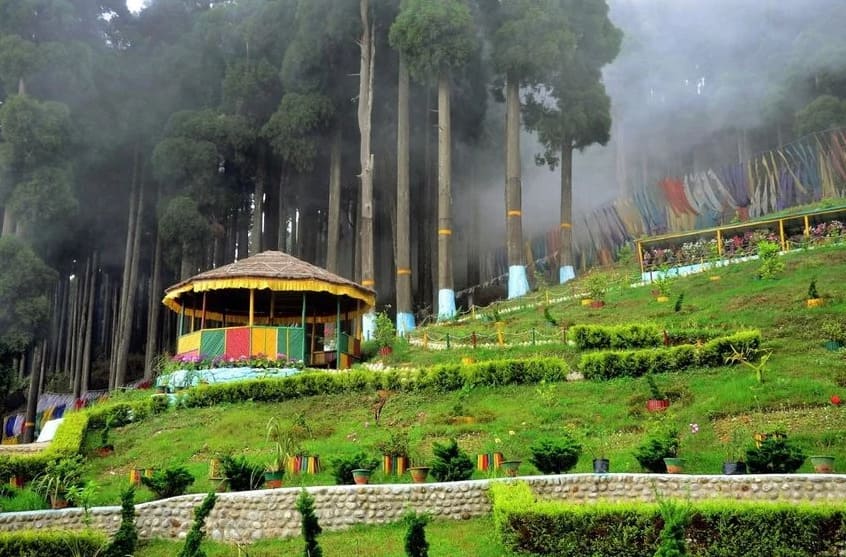 Best Darjeeling, Tinchuley, Lamahatta & Sittong