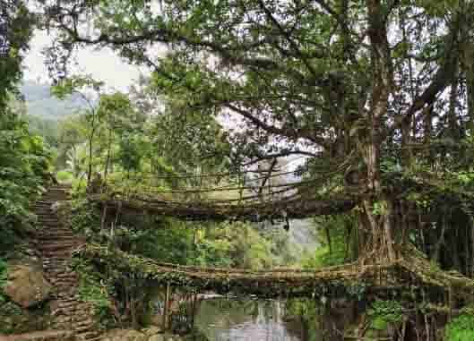 Meghalaya Waterfalls