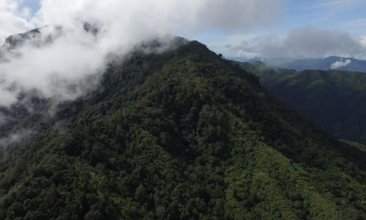 Phawngpui National Park Blue Mountain