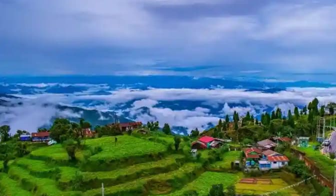 darjeeling-tea-garden-april-first-flush.jpg