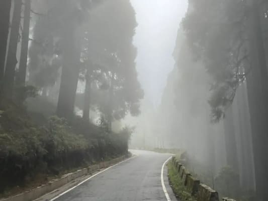 Winding hill road from Bagdogra Airport leading up toward Darjeeling and Gangtok through pine forests